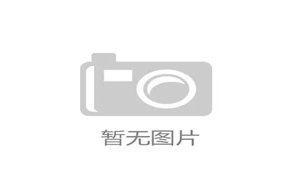球门尺寸规则成人比赛标准尺寸与青少年适用差异