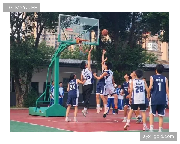 篮球比赛中关于补篮规则的具体内容及其判定标准该如何理解